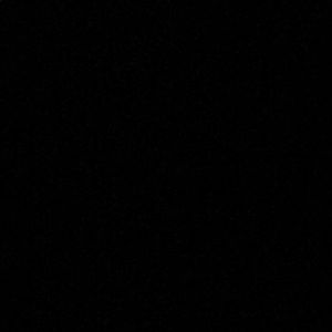 Meet your Posher, Brylee